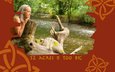 32 Acres is too big