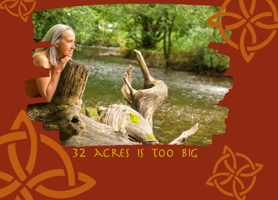 32 Acres is too big